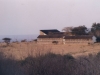 26_ngulia