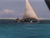 dhau