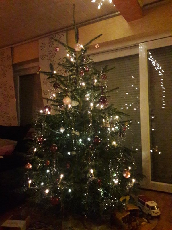 Weihnachtsbaum 2017