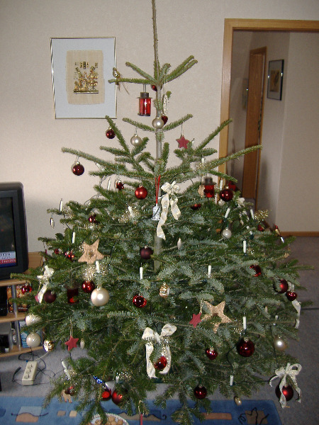 Weihnachtsbaum 2005
