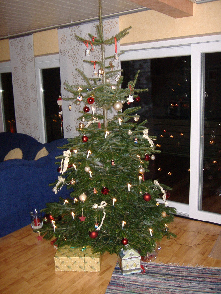 Weihnachtsbaum 2007