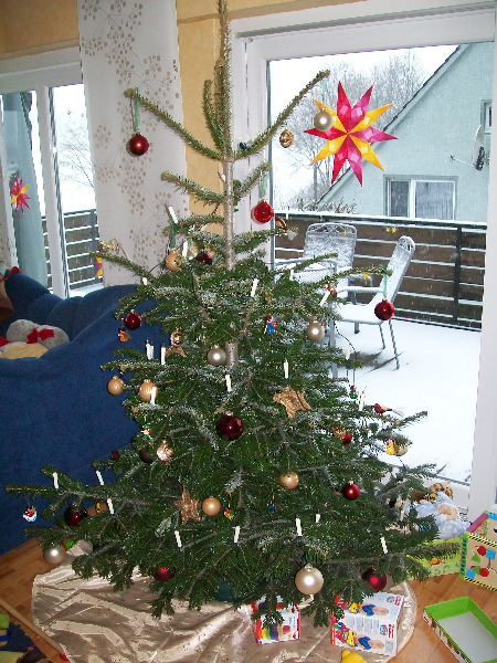 Weihnachtsbaum 2009