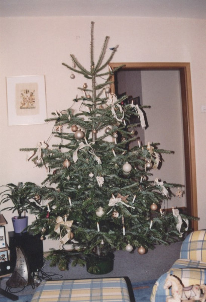 Weihnachtsbaum 2004