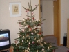 Weihnachtsbaum 2006